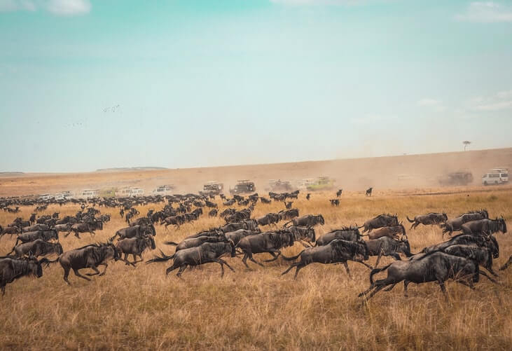 cosa-non-perdere-kenya-masai-mara