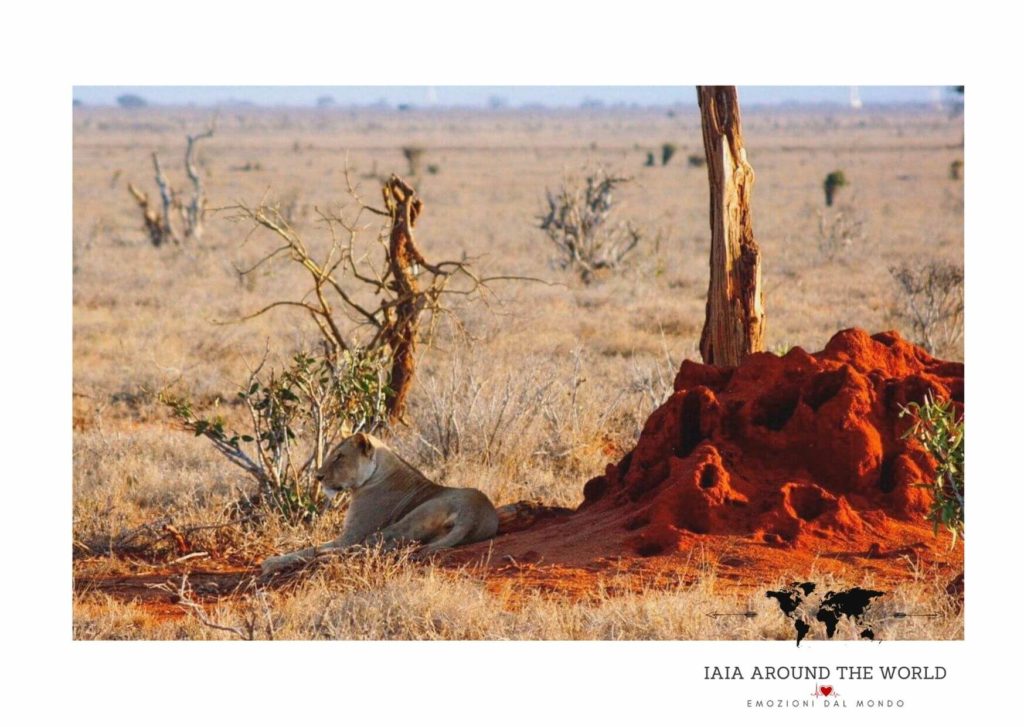 kenya cosa non perdere tsavo marafa mare