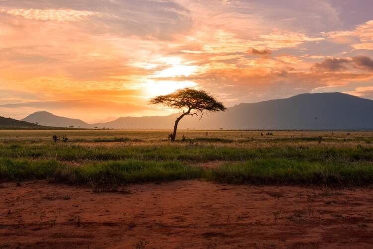 kenya-cosa-non-perdere-savana-tsavo-